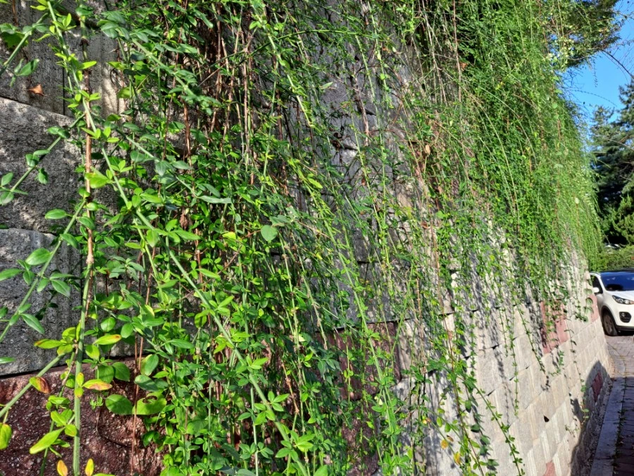 20210905%EF%BC%BF075652.jpg?type=w1