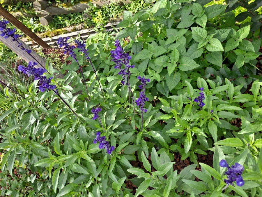 20210905%EF%BC%BF083253.jpg?type=w1