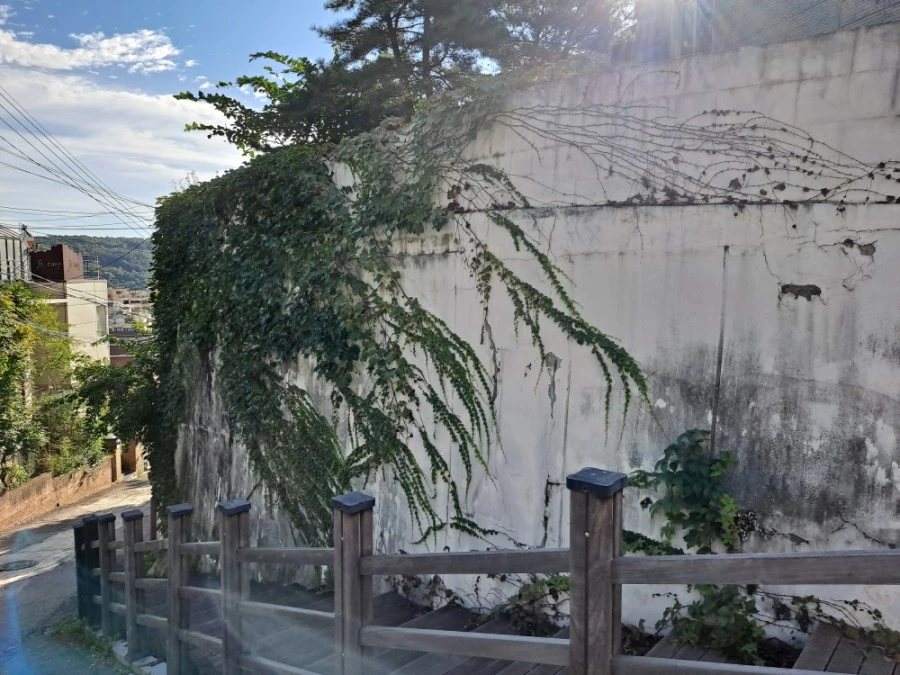 20210905%EF%BC%BF081650.jpg?type=w1