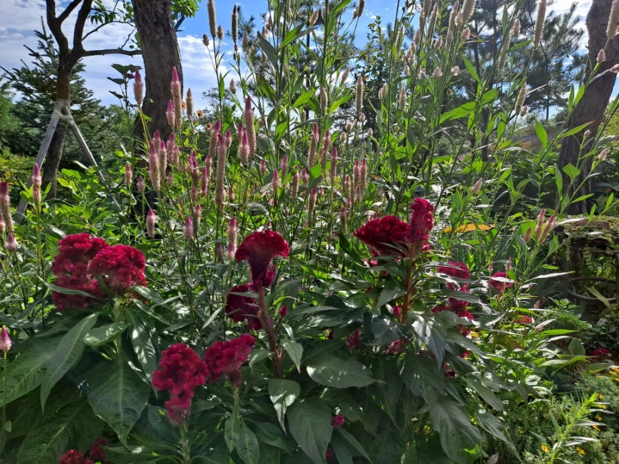 20210905%EF%BC%BF083130.jpg?type=w1