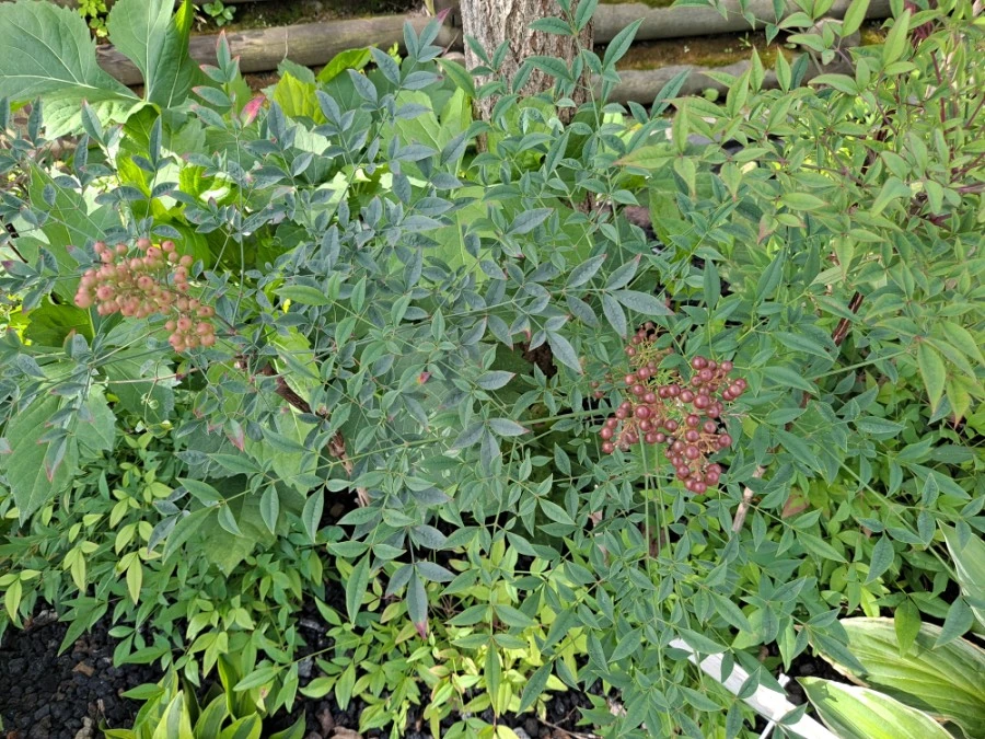 20210905%EF%BC%BF083320.jpg?type=w1