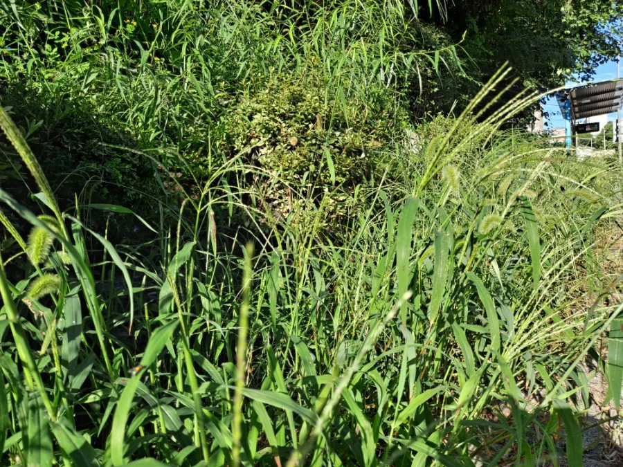 20210905%EF%BC%BF080342.jpg?type=w1