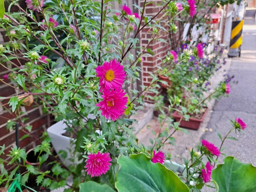 20210905%EF%BC%BF073938.jpg?type=w1