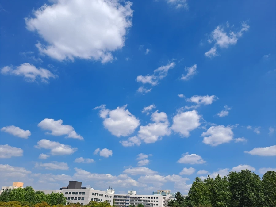 20220921%EF%BC%BF124503.jpg?type=w1