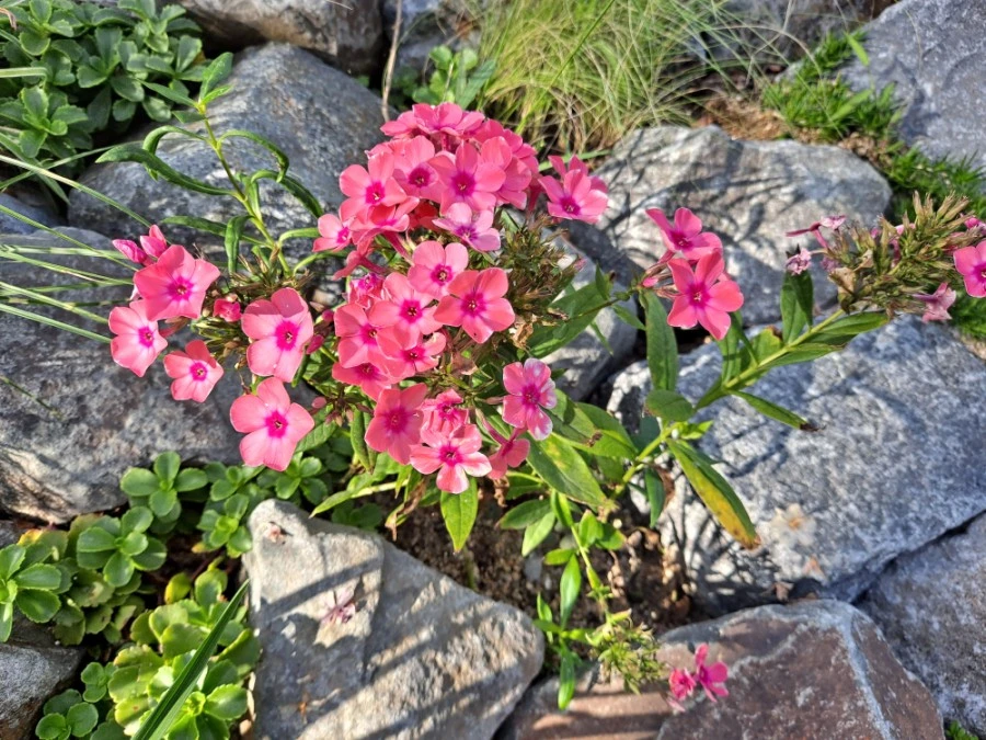 20210905%EF%BC%BF082405.jpg?type=w1