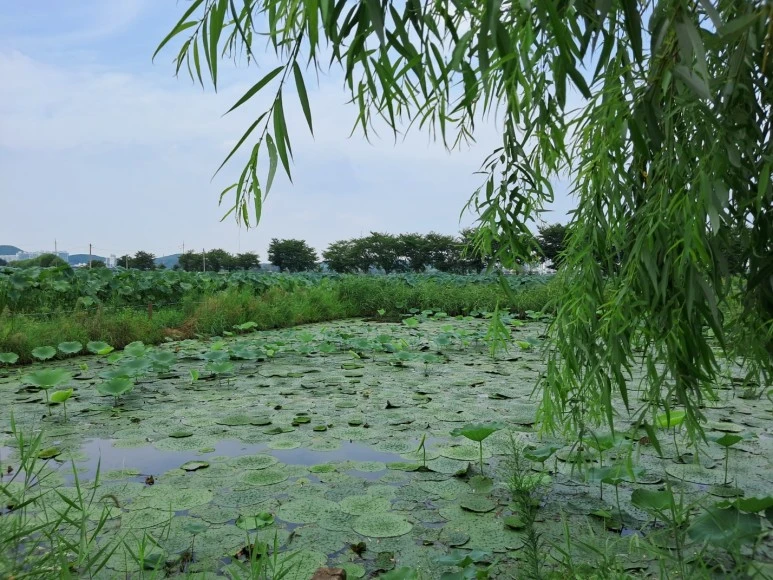 KakaoTalk_20230815_230259059_07.jpg?type=w773