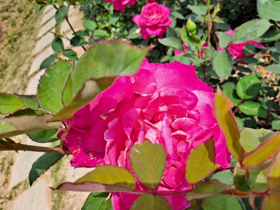 20220523%EF%BC%BF101847.jpg?type=w1