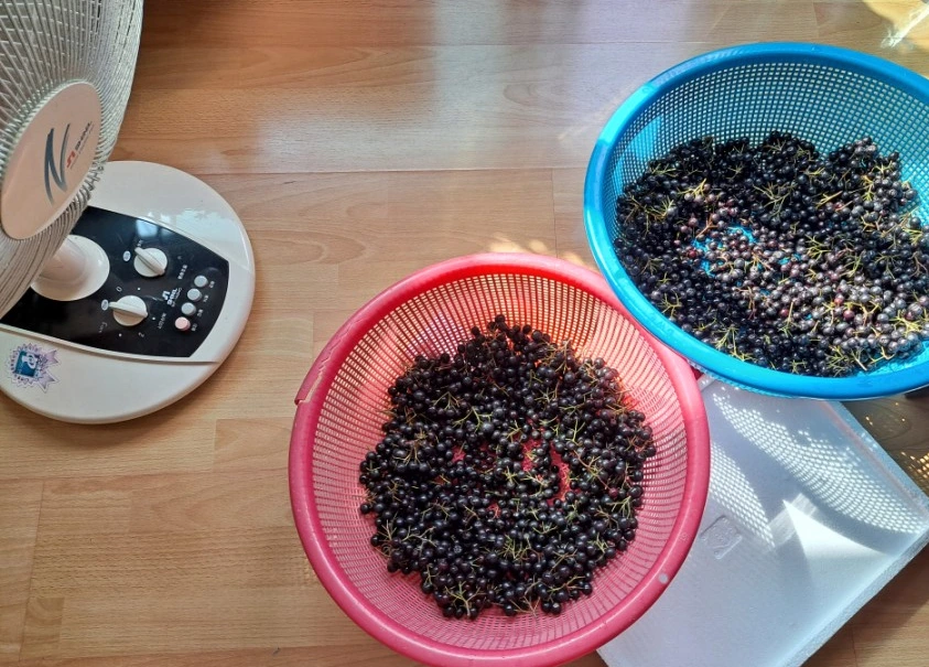 SE-16ce0ceb-0406-11ec-b4f8-f113acb7694b.jpg?type=w1