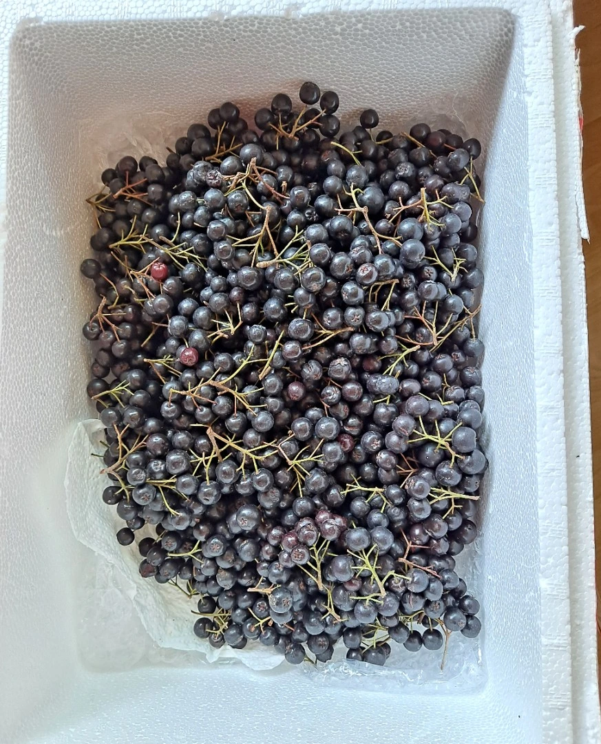 SE-16cf456c-0406-11ec-b4f8-23d84176a02f.jpg?type=w1