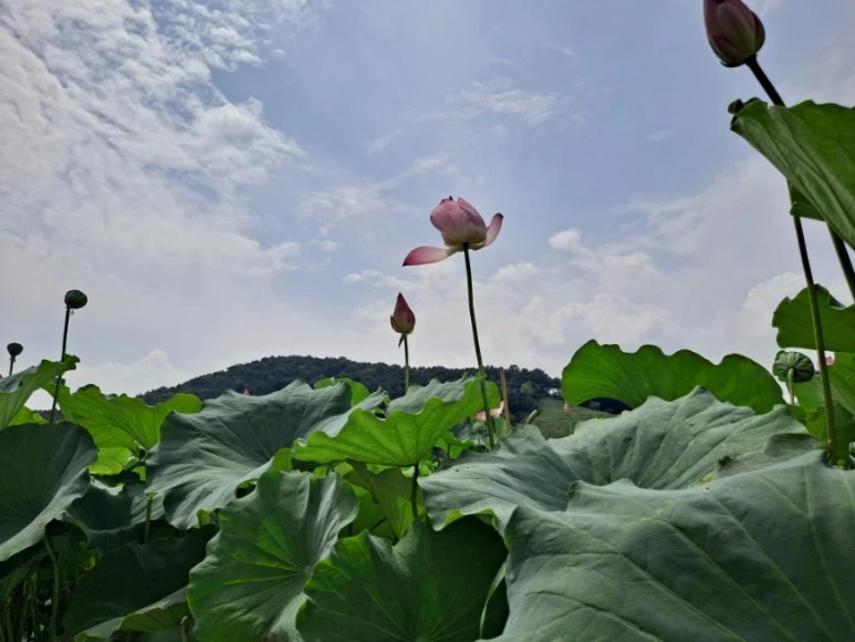 20230815%EF%BC%BF130511.jpg?type=w773