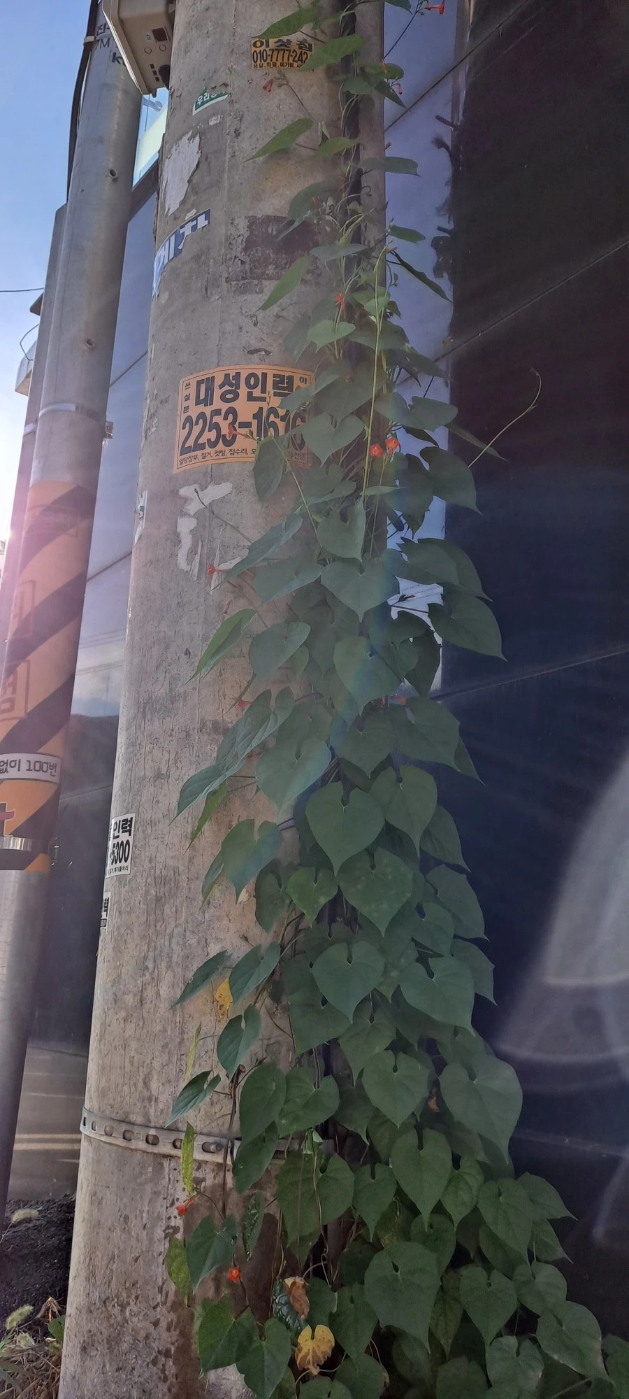 20210905%EF%BC%BF080530.jpg?type=w1