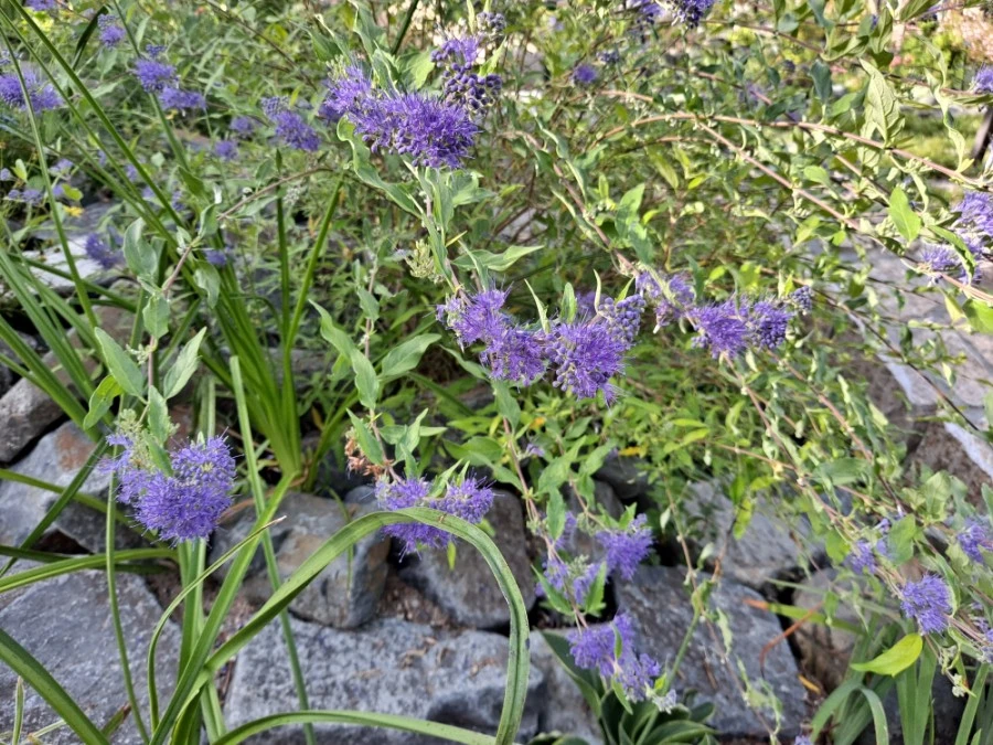 20210905%EF%BC%BF082423.jpg?type=w1