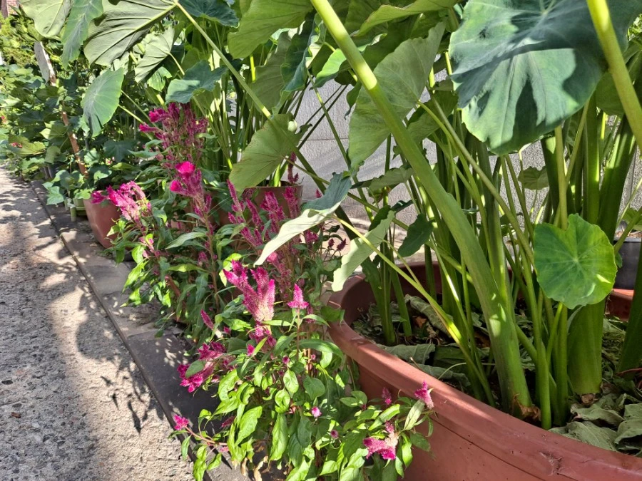 20210905%EF%BC%BF073702.jpg?type=w1