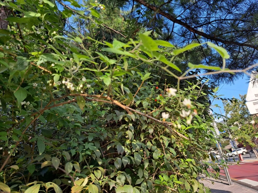 20210905%EF%BC%BF075747.jpg?type=w1