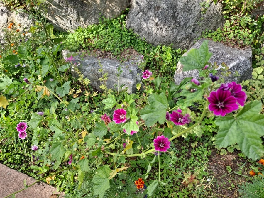 20210905%EF%BC%BF083107.jpg?type=w1