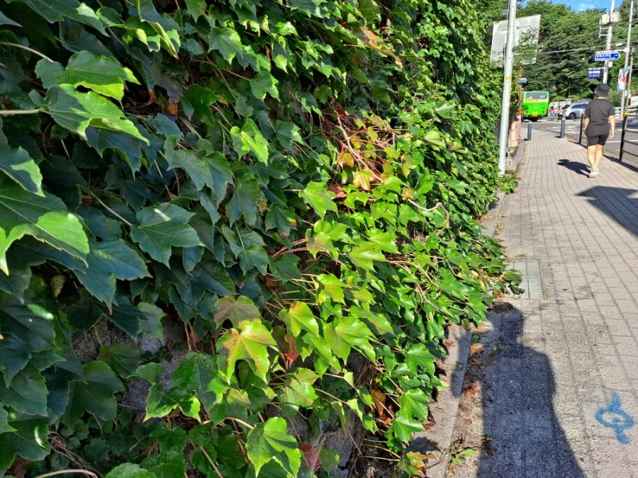 20210905%EF%BC%BF075955.jpg?type=w1