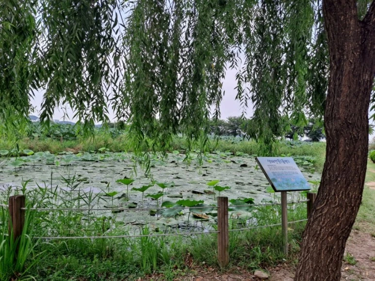 20230815%EF%BC%BF125026.jpg?type=w773