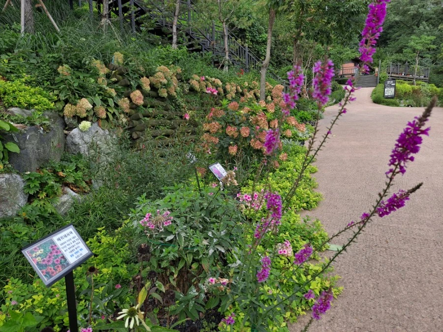 20210905%EF%BC%BF083538.jpg?type=w1