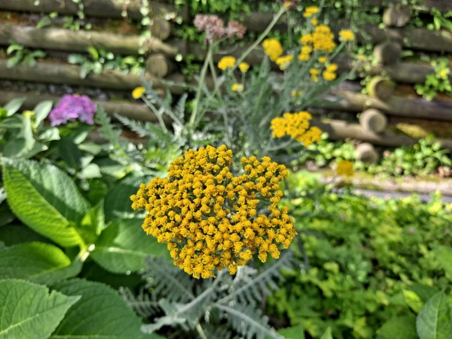 20210905%EF%BC%BF083329.jpg?type=w1