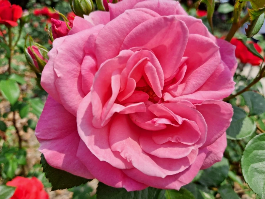 20220523%EF%BC%BF103939.jpg?type=w1