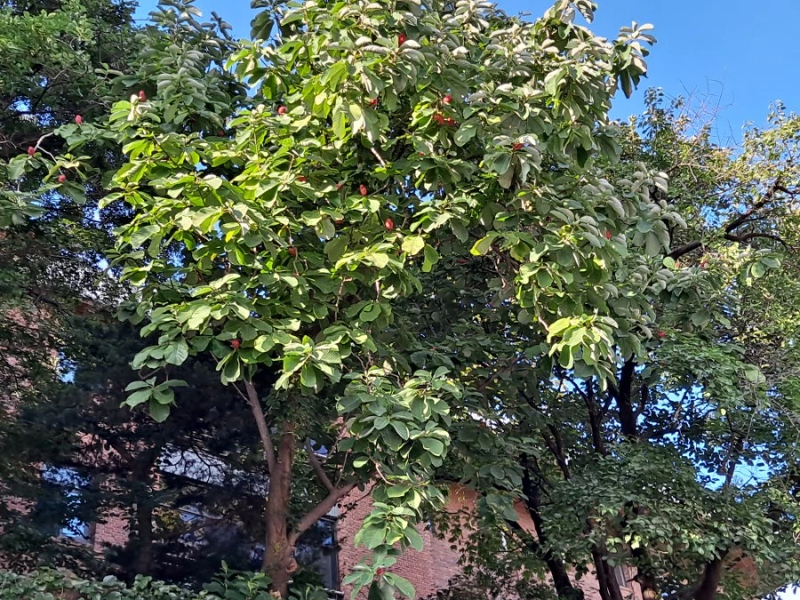 20210905%EF%BC%BF075915.jpg?type=w1