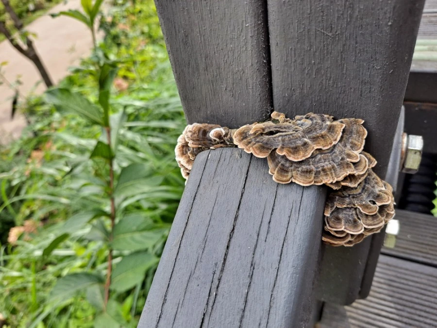 20210905%EF%BC%BF084256.jpg?type=w1