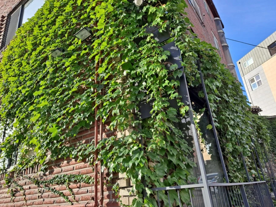 20210905%EF%BC%BF074229.jpg?type=w1