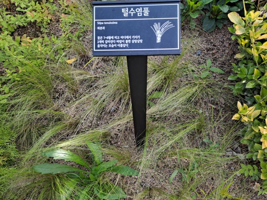 20210905%EF%BC%BF082658.jpg?type=w1