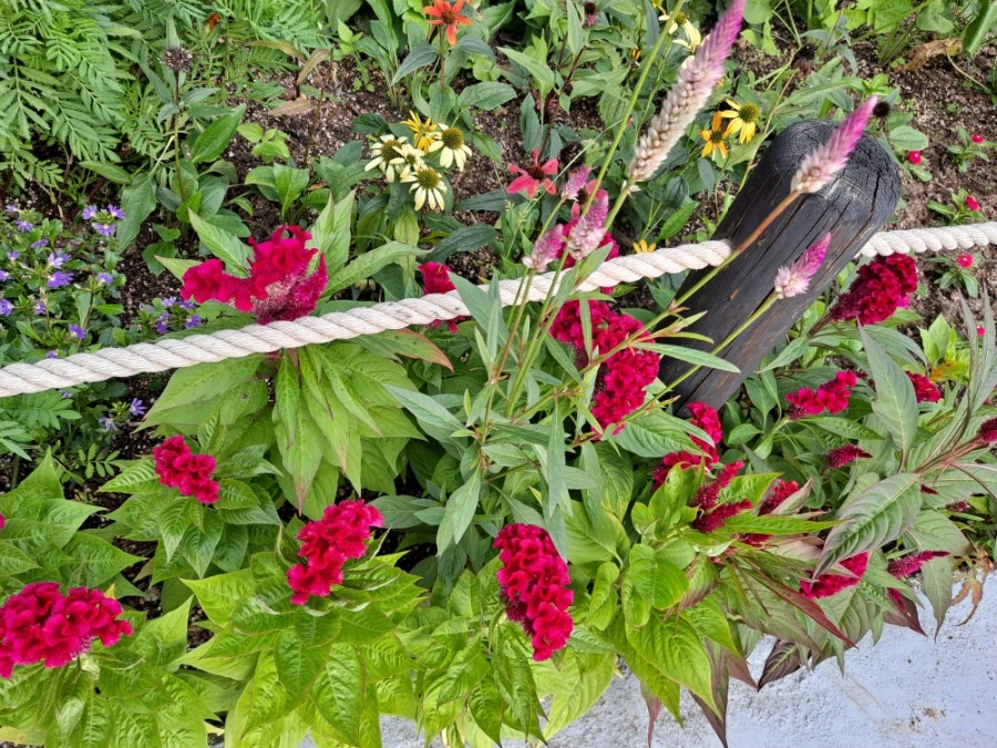 20210905%EF%BC%BF083916.jpg?type=w1