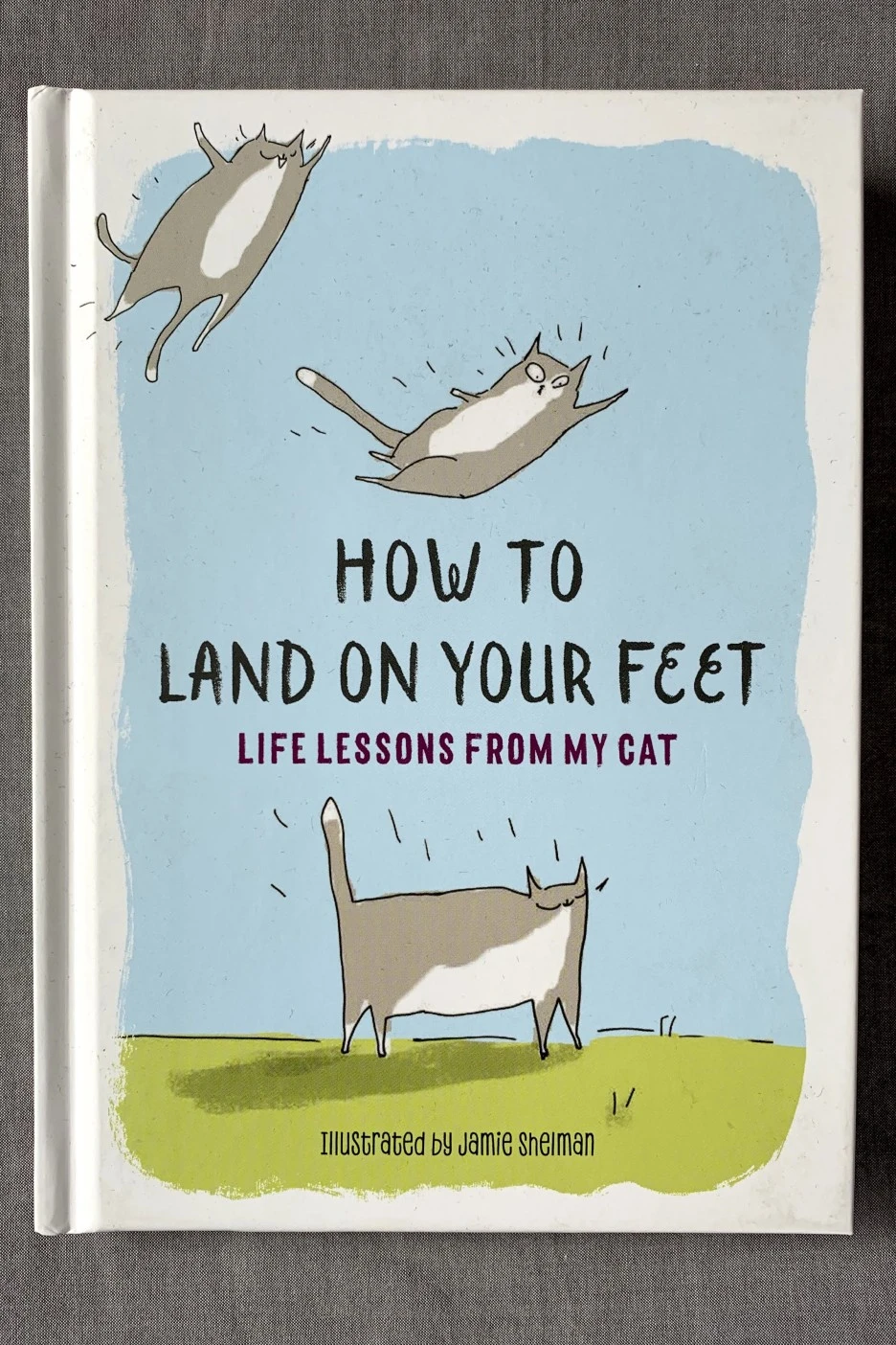 IMG_3731.jpg?type=w1