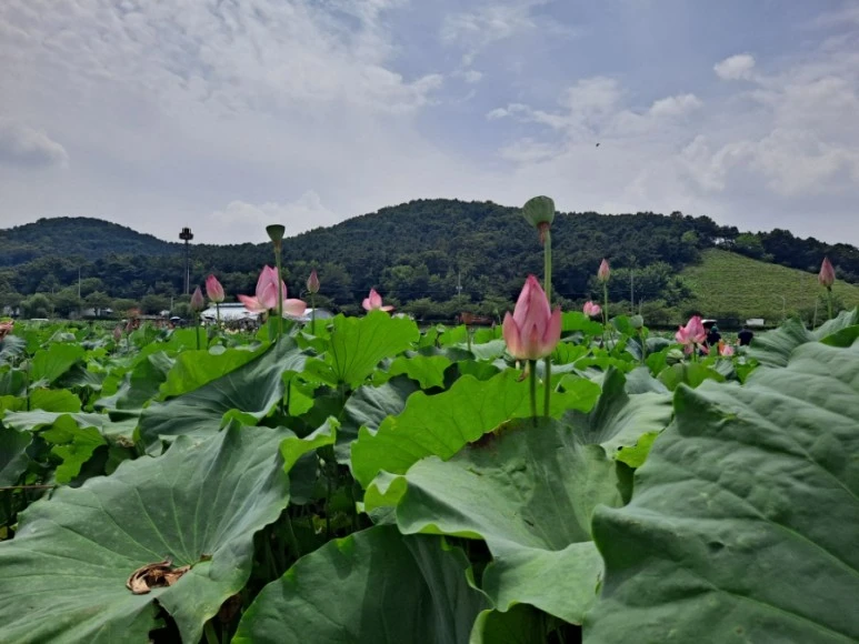 20230815%EF%BC%BF130529.jpg?type=w773