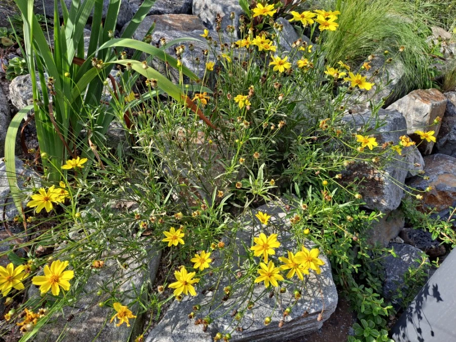 20210905%EF%BC%BF082333.jpg?type=w1