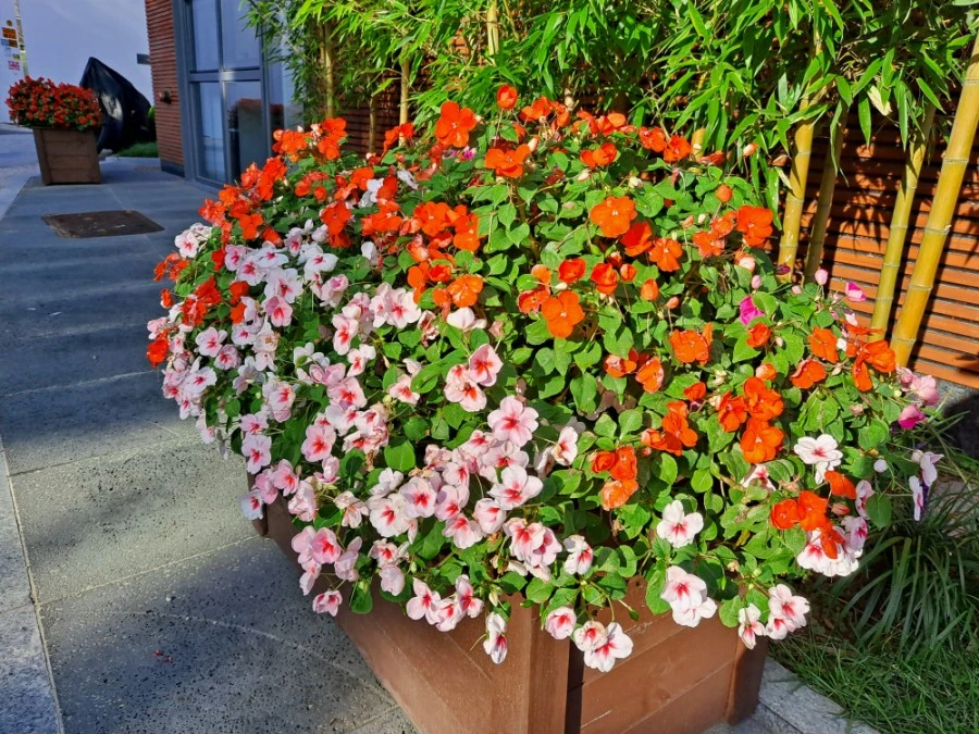 20210905%EF%BC%BF075154.jpg?type=w1