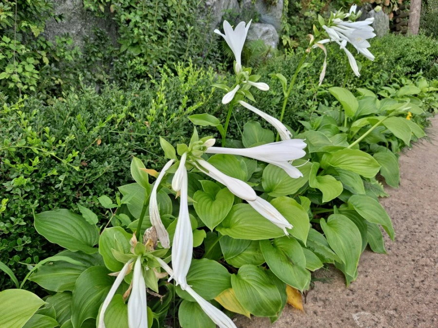 20210905%EF%BC%BF083553.jpg?type=w1