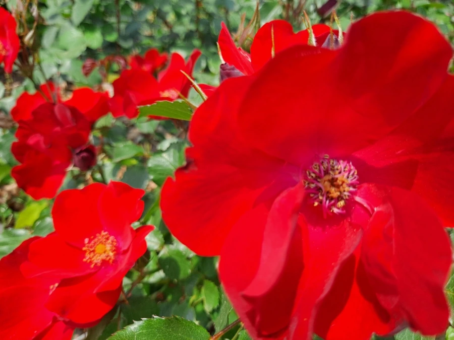 20220523%EF%BC%BF102513.jpg?type=w1