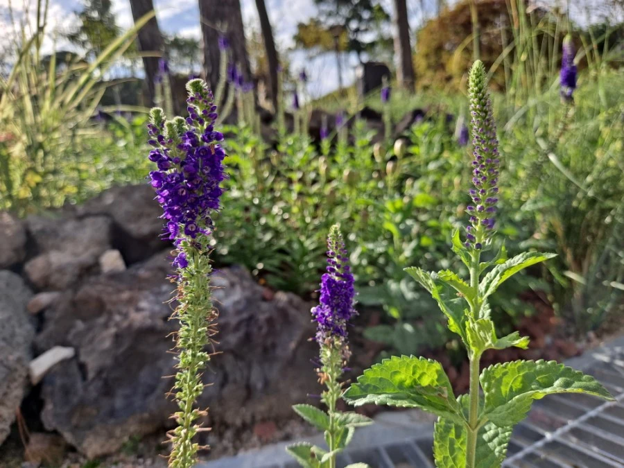 20210905%EF%BC%BF082741.jpg?type=w1