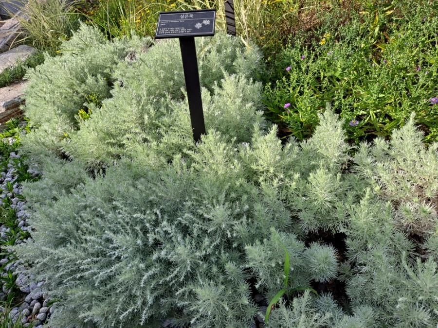 20210905%EF%BC%BF082451.jpg?type=w1