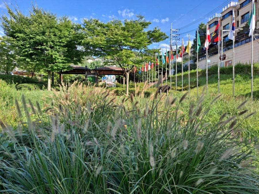 20210905%EF%BC%BF080854.jpg?type=w1