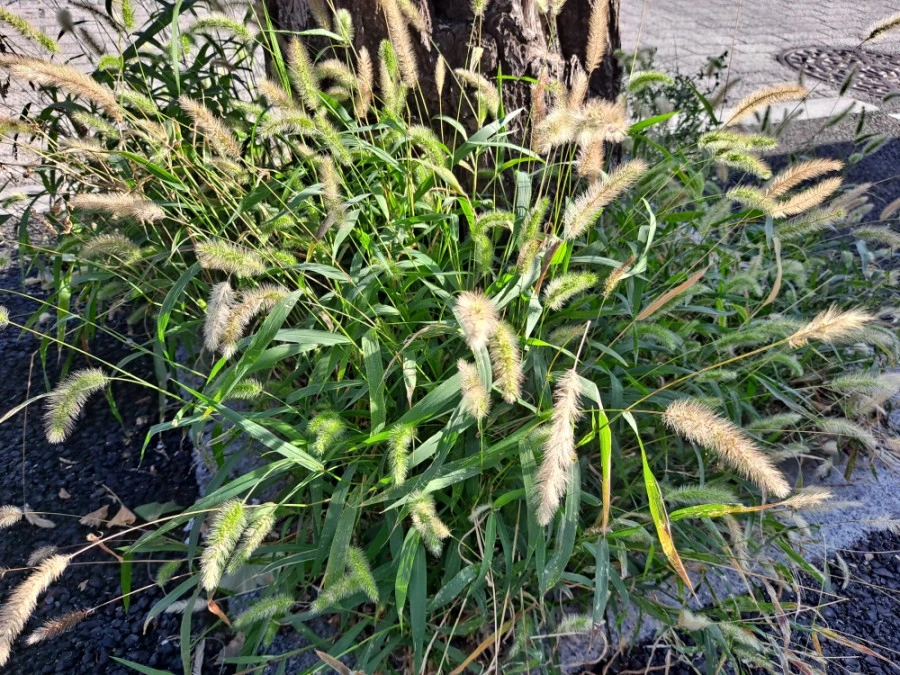 20210905%EF%BC%BF080059.jpg?type=w1