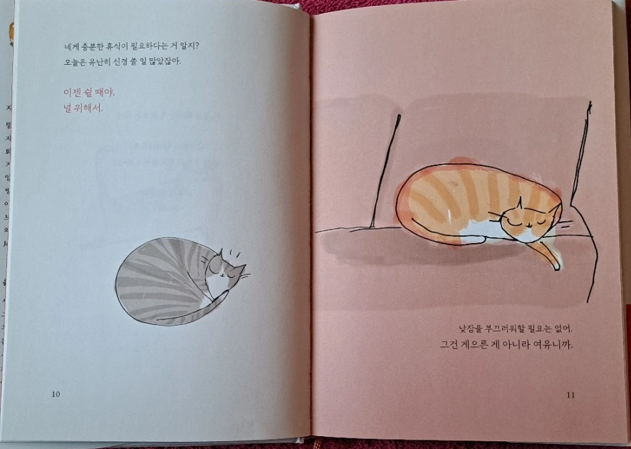 SE-7ee66d1e-f3b8-4d40-8395-edbbba71efe3.jpg?type=w1