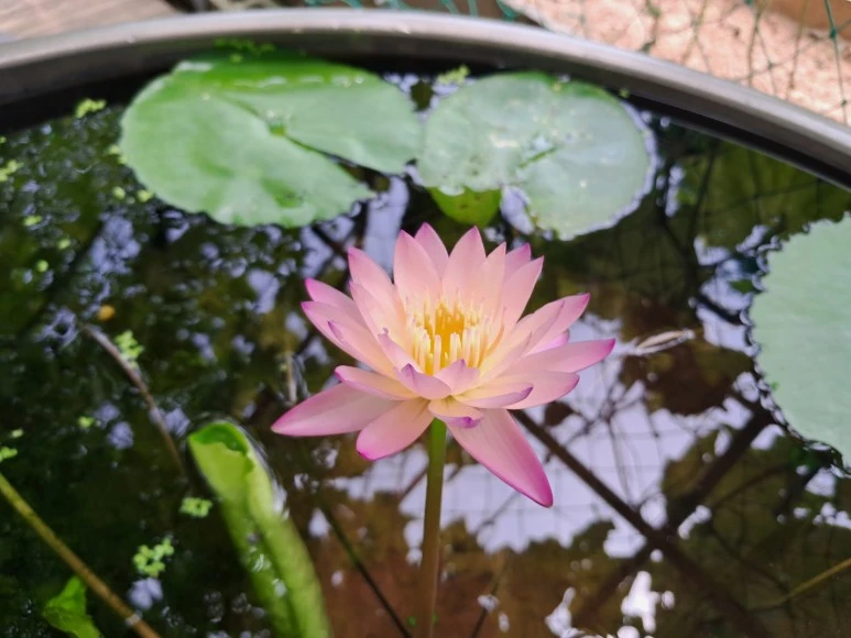 KakaoTalk_20230815_230259059_03.jpg?type=w773