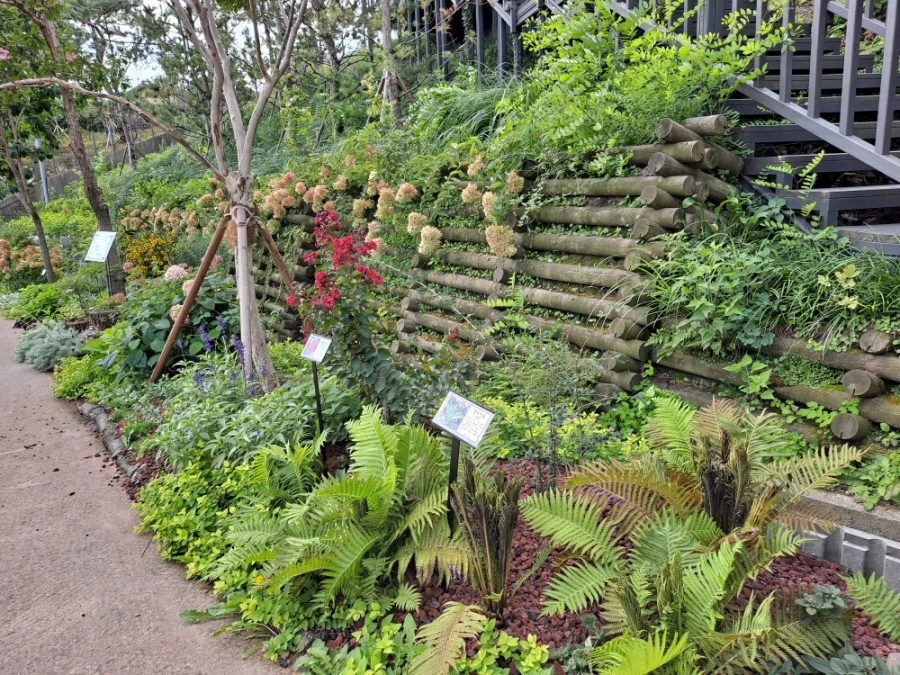 20210905%EF%BC%BF083657.jpg?type=w1