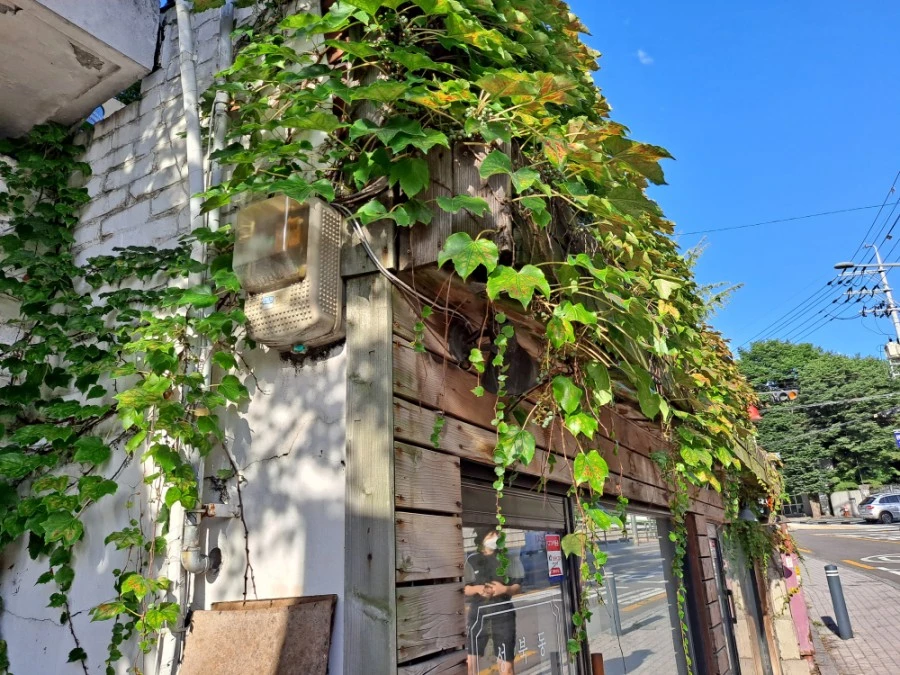 20210905%EF%BC%BF080020.jpg?type=w1