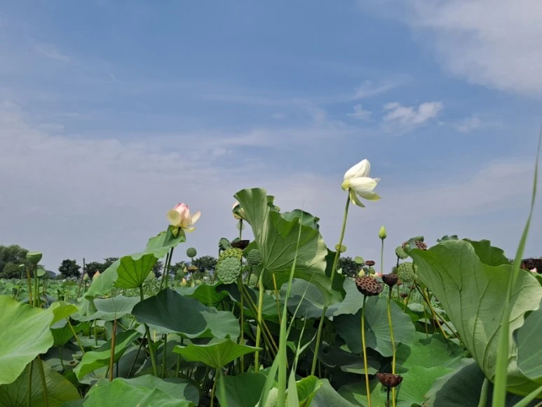 20230815%EF%BC%BF130854.jpg?type=w773