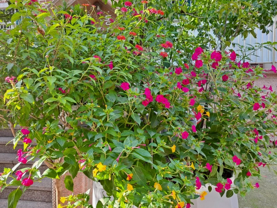 20210905%EF%BC%BF073637.jpg?type=w1