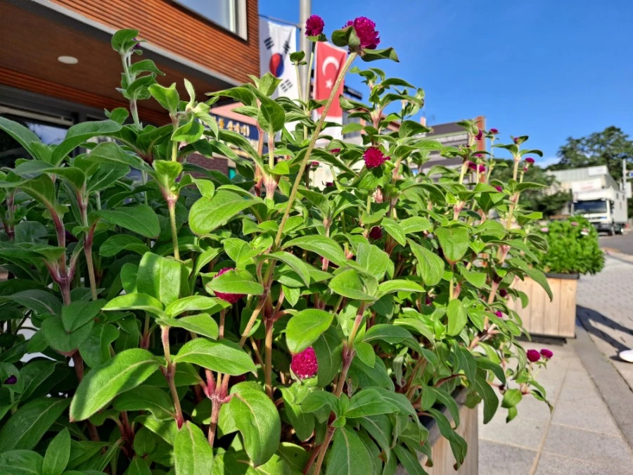 20210905%EF%BC%BF075231.jpg?type=w1