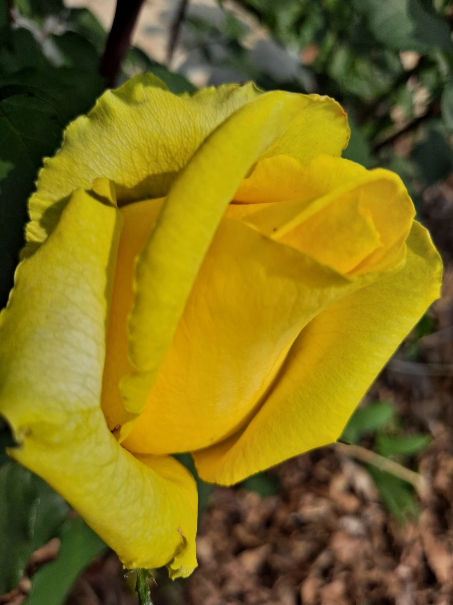 20220523%EF%BC%BF101919.jpg?type=w1