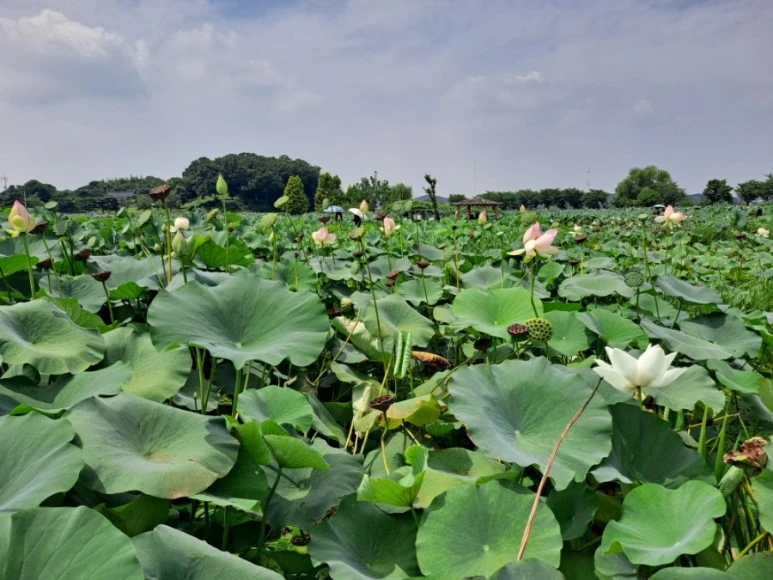 20230815%EF%BC%BF130705.jpg?type=w773