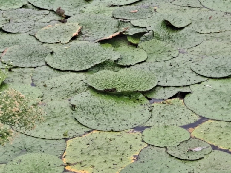 20230815%EF%BC%BF125133.jpg?type=w773