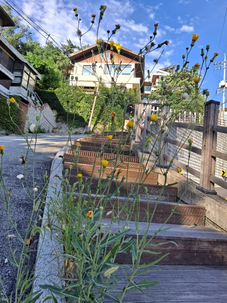 20210905%EF%BC%BF081344.jpg?type=w1